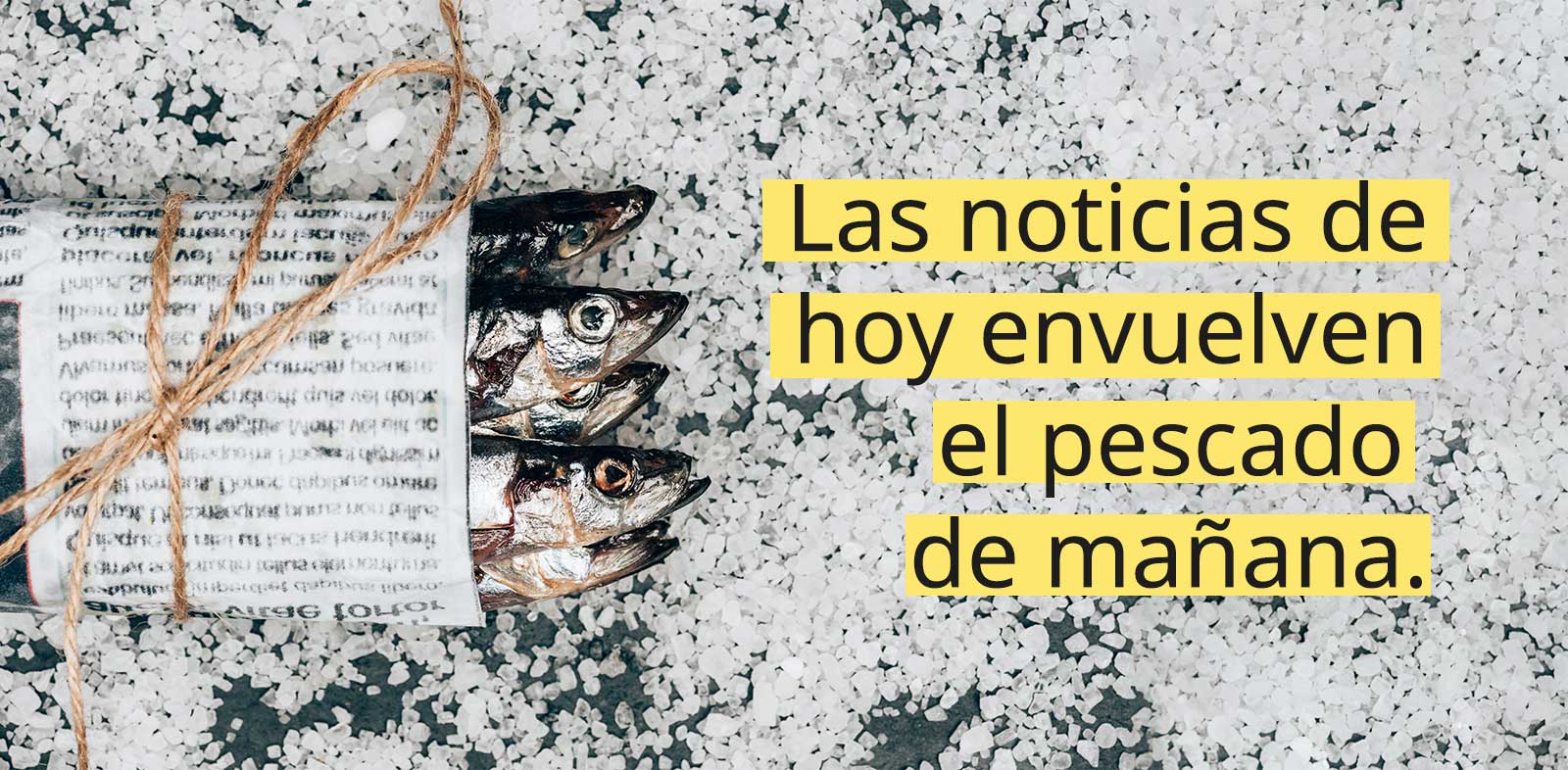 Estas son noticias que en mindgeist creemos que no puedes pasar por alto.
